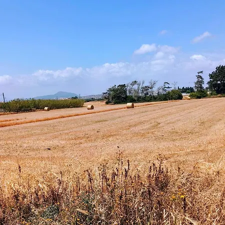 Appartamento Casa Sea Breeze *